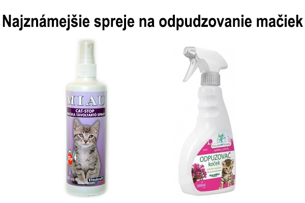 Striekať čierna mačička com
