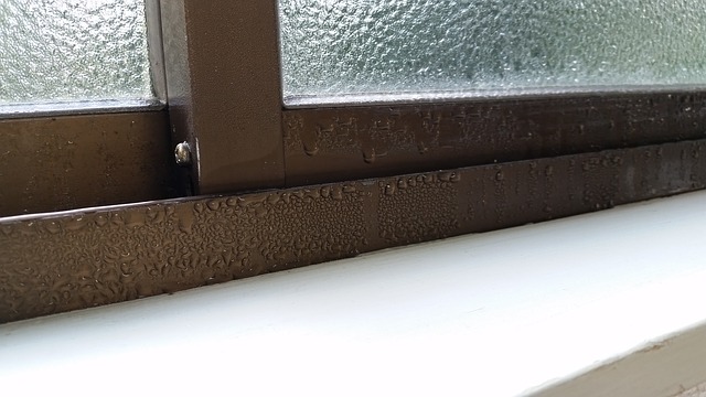 Vyzrážaná vlhkosť na oknách