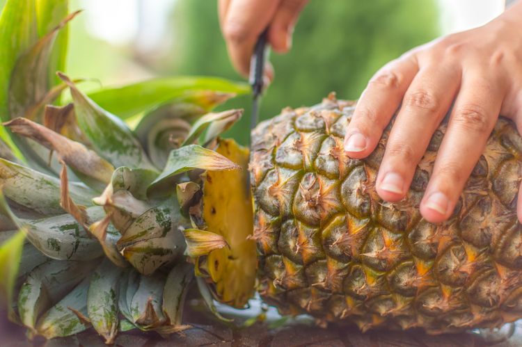 Návod ako vypestovať ananás z odrezku