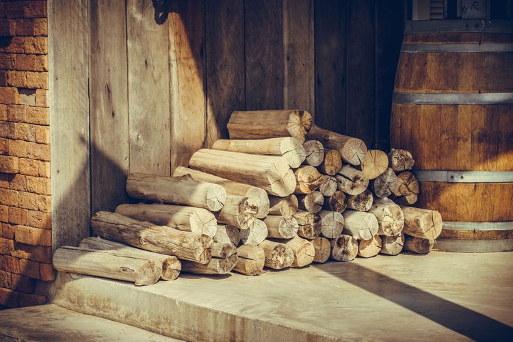 Vhodné druhy dreva na kúrenie v krbe