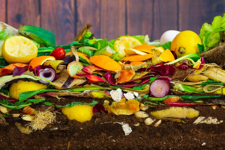 Najkvalitnejší kompost býva až po 2 rokoch