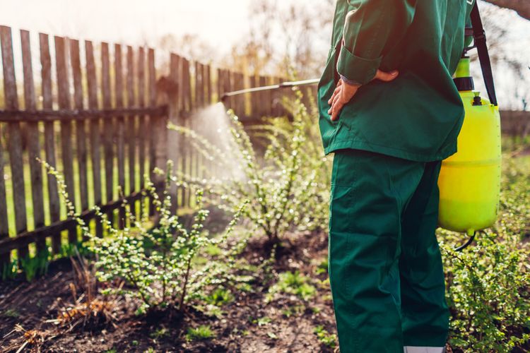 Ako vyčistiť záhradný postrekovač?