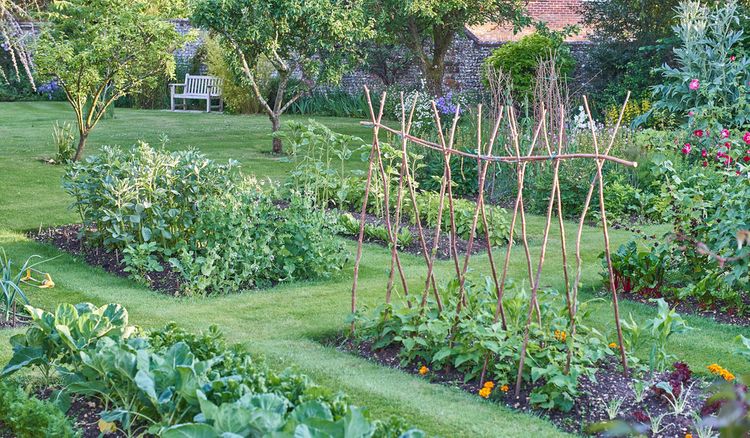Ako si rozvrhnúť zeleninovú záhradu