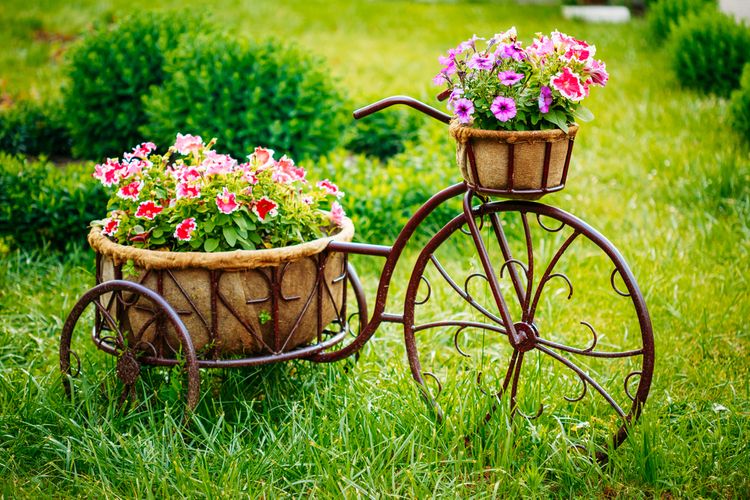 Retro bicykel ako kvetináč