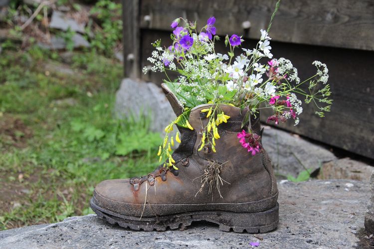 Topánka ako kvetináč