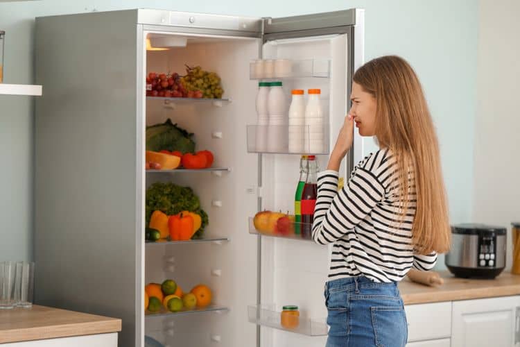 Príčina zápachu v chladničke