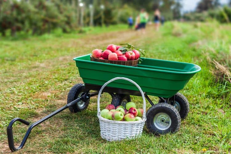 Ako vybrať záhradný vozík