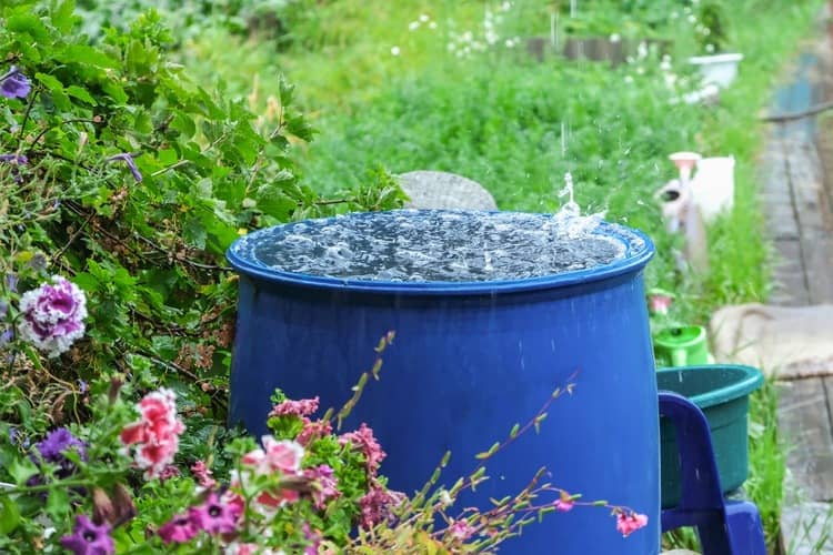 Ako zadržať vodu v záhrade