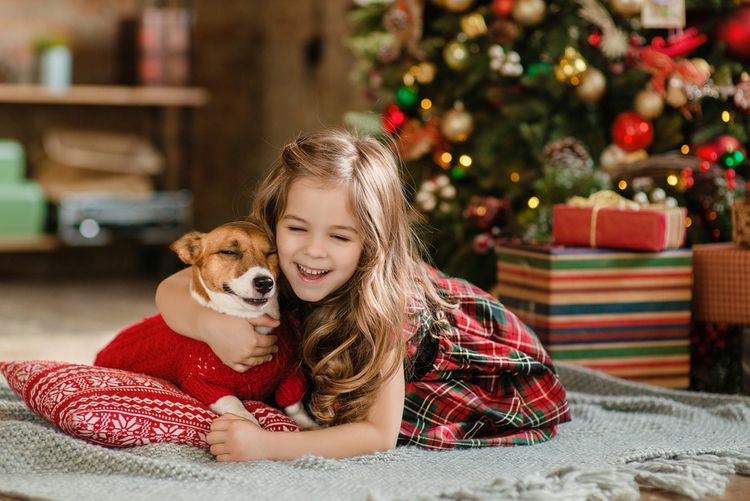 Pes ako vianočný darček