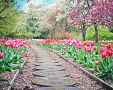 Ako pestovať tulipány v záhrade aj kvetináči