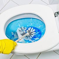 Test magazín – Tekuté čističe na toaletu