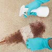 Ako vyčistiť koberec na sucho, na mokro, avivážou, sódou bikarbónou