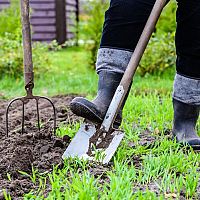 Ako pripraviť záhradu na jar – príprava pôdy na sadenie, kedy rýľovať