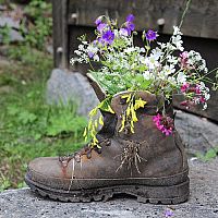 Oživte svoju záhradu netradičnými kvetináčmi – vaňa, dáždnik, bicykel či krhla plné kvetov