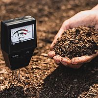 Ako vylepšiť pôdu: pH pôdy pre paradajky, čučoriedky, trávnik – stupnica