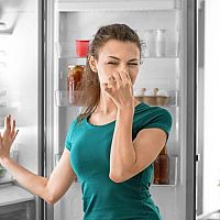 Ako odstrániť zápach z chladničky? Skúste vyčistiť odtok alebo použiť pohlcovač pachu