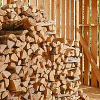 Ako uskladniť palivové drevo na zimu: Kôlňa, pivnica, kovová klietka či montovaný prístrešok?