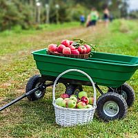 Záhradný vozík na kolieskach – ako vybrať, využitie