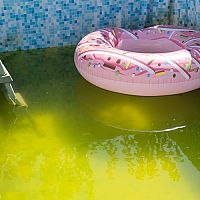 Ako sa zbaviť zelenej vody a rias v bazéne? Pomôže Savo?