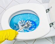 Test magazín – Tekuté čističe na toaletu