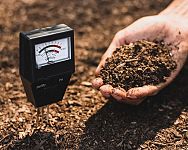 Ako vylepšiť pôdu: pH pôdy pre paradajky, čučoriedky, trávnik – stupnica