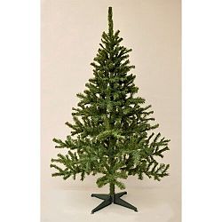 Vianočný stromček Smrek kanadský, 180 cm
