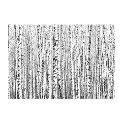 Veľkoformátová tapeta Artgeist Birch Forest, 200 x 140 cm