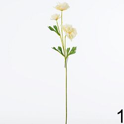 Kvet lúčny kus marhuľový 1100909MA