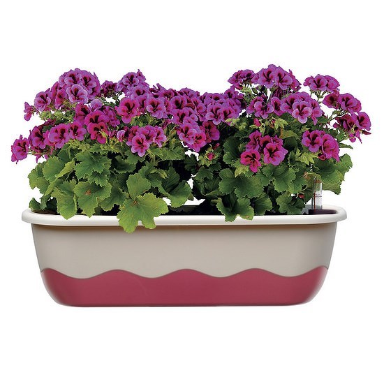 Plastia Samozavlazovaci Truhlik Mareta 60 Cm Biela Vinova
