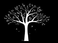 Samolepiaca dekorácia XXL biely rodinný strom 