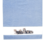 Detská osuška 75x150 cm, motív mačiatka, modrá
