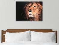 Obraz na plátne Kráľ zvierat, 70x50 cm