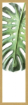 Rámovaný obraz Zelený list, 15x60 cm