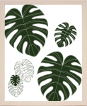 Zarámovaný obraz Palmové listy, 24x30 cm