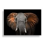 Obraz Styler Canvas Silver Uno Elephant, 85 × 113 cm