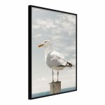 Plagát v ráme Artgeist Curious Seagull, 30 x 45 cm