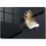 Sklenený obraz 100x70 cm Feather - Wallity