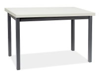NajlacnejsiNabytok ADAM jedálenský stôl 100x60 cm, biela matná / čierna