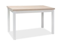 NajlacnejsiNabytok ADAM jedálenský stôl 100x60 cm, dub Sonoma / biela
