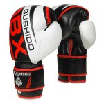 Boxerské rukavice DBX BUSHIDO B-2v7 14 oz