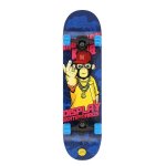 Skateboard NILS Extreme CR3108 SA Monkey