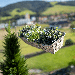 Balkónový kvetináč z vŕbového prútia, béžovosivá, BOREK