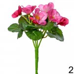 Begónia 19cm ružová 208057R