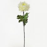 Chryzantéma krémová 80cm 1500173