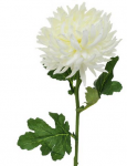 Chryzantéma kus biela 65cm 1500034B