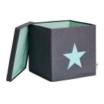 LOVE IT STORE IT Box na hračky s krytom - šedý, zelená hviezda LI-672241