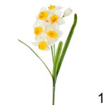 Narcis BIELY 42cm 229341B