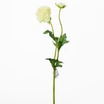 Ranunculus biely kus 39cm 1100278