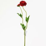 Ranunculus červený kus 39cm 1100279