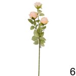 Ruža kus marhuľová 50cm 218831MAR